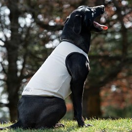 Terrain Dog Cooling Vest - Cooling Fabric Powered by Coolcore Technology