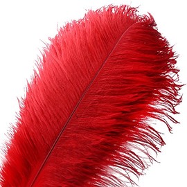 VoilaLove 20pcs Natural Ostrich Feather Craft 10-12inch(25-30cm) Plume for Wedding Centerpieces Home Decoration (Red)