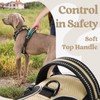 rabbitgoo Dog Harness Small Sized, No Pull Pet Harness with
