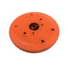 LITEC DP057 Shape Up Twister