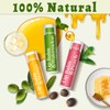 RBUGR 84 Pack of Lip Balm, 12 Flavored Lip Balms