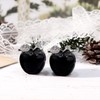 Lovionus89 Natural Black Obsidian Apple Statue, Healing Crystal Figurine Sculpture