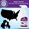 PoochPad Potty Training Attractant Spray for Dogs & Puppies 16