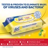 Lysol Disinfecting Handi-Pack Wipes, Lemon and Lime Blossom, 480 Count