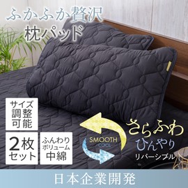 GOKUMIN Pillow Pad, Set of 2, Cooling Sensation, Reversible, Washable, Quick Drying, All Seasons, Q-Max Value 0.35, Pillow Cover, Cool, Extreme Sleep, 16.9 x 24.8 inches (43 x 63 cm), Pi-pad