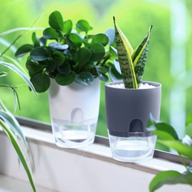 Self Watering Pots for Indoor Plants, Flower Pots Outdoor, 8 Pack 3.2 Inch Small Self Watering Planter, Plant Pots with Decorative Stones, Flower Pot, Plant Pots Indoor, Mini Flower Pots Indoor, White