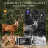 Stynxro Trail Camera, Outdoor, Wildlife Surveillance Camera, Small, Security Camera,