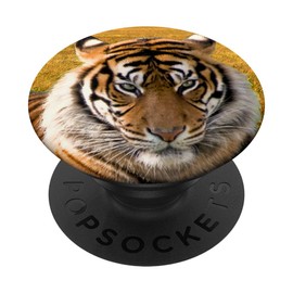 Tiger Photo Pop Sockets Pop Grip: Extendable Base and Grip for Mobile Phones / Tablets with Interchangeable Top