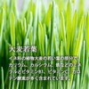 Lipsa Official T-616 Green Juice Powder