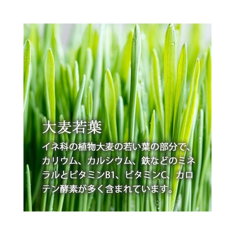 Lipsa Official T-616 Green Juice Powder
