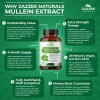 Zazzee Extra Strength Mullein 10:1 Extract, 3000 mg Strength, 120