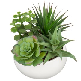 Fake Plants Artificial Succulents in Pots Faux Succulent Arrangement Potted Plant with White Ceramic Pot for Home Decor Modern Office Desk Bathroom Shelf Living Room Indoor Decoration