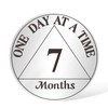 AtSKnSK 7 Months Sobriety Coin 1-12 Months Sobriety Coin AA