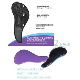 Detangling Hair Brush Set, 2-Pack, Purple and Blue, Professional Wet Hair Brush for Women, Men and Kids