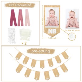 pinkblume 1st Birthday Burlap Photo Banner Garland Handmade Felt from Newborn to 12 Months with Gradient Dusty Pink Ribbon for Baby Girl First Birthday Monthly Milestones Party Decorations Supplies