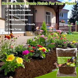 MAQIHAN 11 OZ Rotting Pine Needles Mulch for Orchid - Organic Mulch for Garden Mulch for Landscaping Orchid Potting Mix Mulch for Indoor Potted Plants