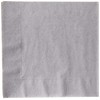 Creative Converting Beverage Napkin 2PLY, Shimmering Silver