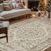 DEXI Living Room Area Rug 4x6,Washable Rugs Carpet,Non Slip Beige