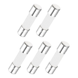 MECCANIXITY 5Pcs Time Delay Fuse Ceramic Fuses Tube 5mm x 20mm 250V 10A Slow Blow Fuse Repair Circuit Boards,Lighting Equipment, Instrumentation,Home Appliance