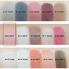 Chicholic Useful Pearl Type Shadow, 106