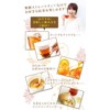 Commercial Instant Tea Black Tea 8.8 oz (250 g) x