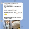 Cat Lactic Acid Bacteria Supplement, Intestinal Environment, Immune, Oral, Brushy,