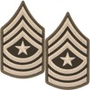 Army AGSU Sgt Major SGM E-9 Cloth Rank Female