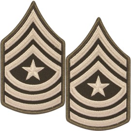 Army AGSU Sgt Major SGM E-9 Cloth Rank Female