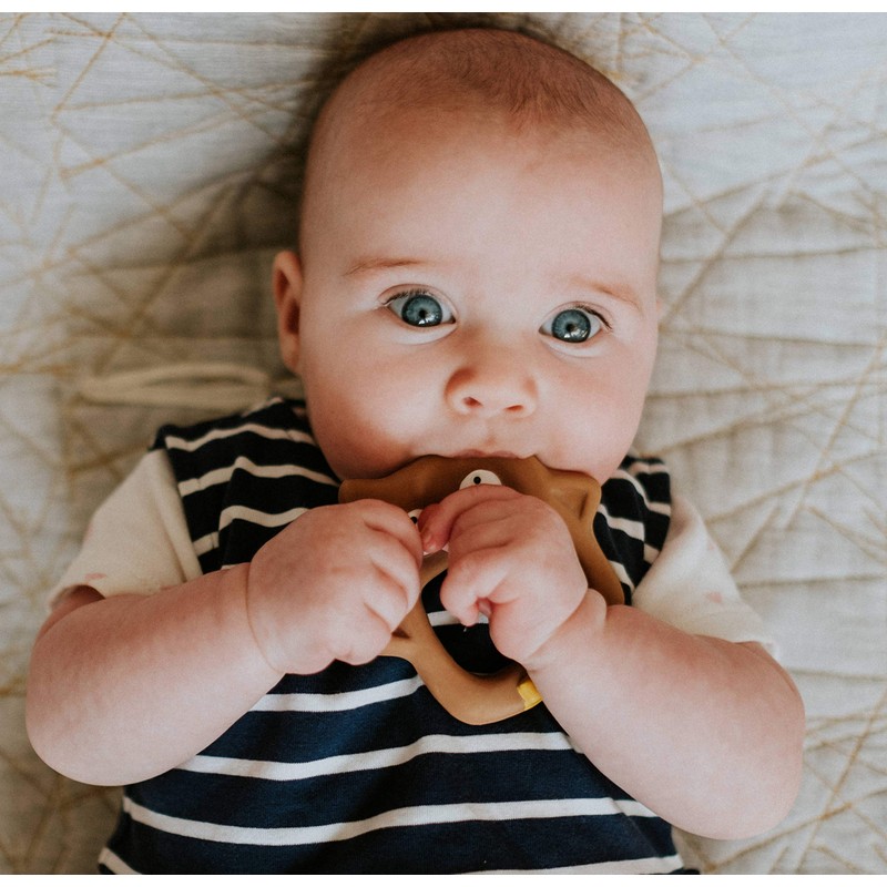 Cloud and Cuckoo My Friend Hoot Teether | Natural Rubber
