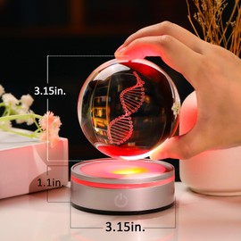 Enjinkail DNA Crystal Ball with LED Base - Unique 3D Laser Engraved Science Decor, Gift for Biology Teachers, Medical Students & Science Lovers, Classroom Lab Decor Night Light