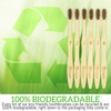 Lingito 6-Pack Natural Charcoal Bamboo Toothbrushes | BPA Free Soft