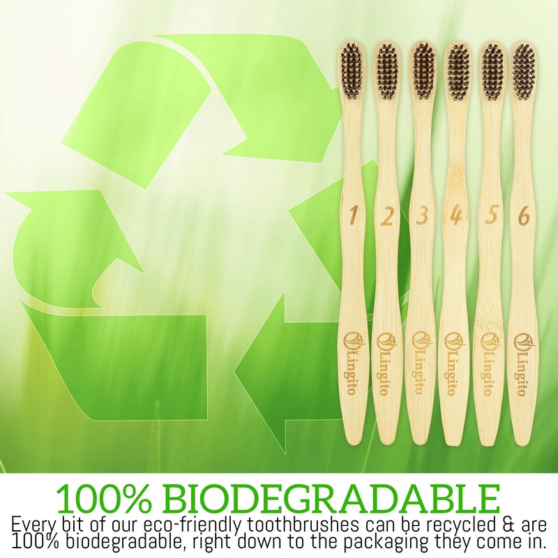 Lingito 6-Pack Natural Charcoal Bamboo Toothbrushes | BPA Free Soft