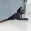 Earl Diamond Cast Iron Door Stop | Door Wedge |