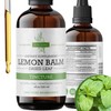 Pura Herba Lemon Balm Liquid Tincture – Alcohol-Free, Vegan –
