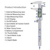 Trimming Shop Digital Vernier Caliper with Extraordinary LCD Screen, Digital