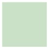 Natural Green A4 Coloured Craft Card 160gsm x 50 Sheets
