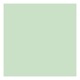 Natural Green A4 Coloured Craft Card 160gsm x 50 Sheets