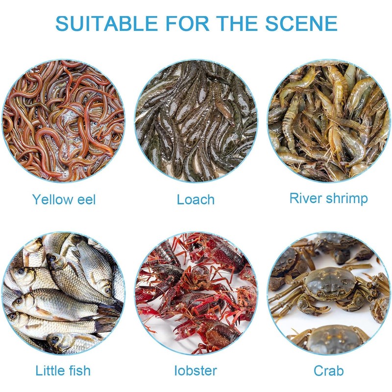 Trampa para Anguilas y Peces Grande de Plástico Negro con