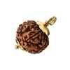 Crystal Heaven Rudraksha Original 7 Mukhi Pendant Necklace for Women