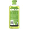 Herbal Essences Tea-Lightfully Clean Refreshing Shampoo 11.7 oz