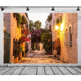 Loccor Fabric 10x8ft Jerusalem Old House Street Backdrop Night Ancient Village Old Stone Wall Building Flower Street Scenery Photo Background Israel Party Decor Family Travel Photo Studio Props