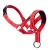 ILEPARK Dog Halter for Training - Colourful Head Harness for