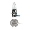 Narva 48321 12V H3 55W PK22S Halogen Globe