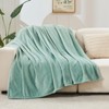 NEWCOSPLAY Super Soft Queen Blanket New Sage Green Premium Silky