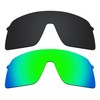 Alphax 2 Pcs Black & Green Polarized Replacement Lenses for