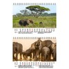 Elephant Magic DIN A5 Desk Calendar for 2022 Elephants Seelenzauber