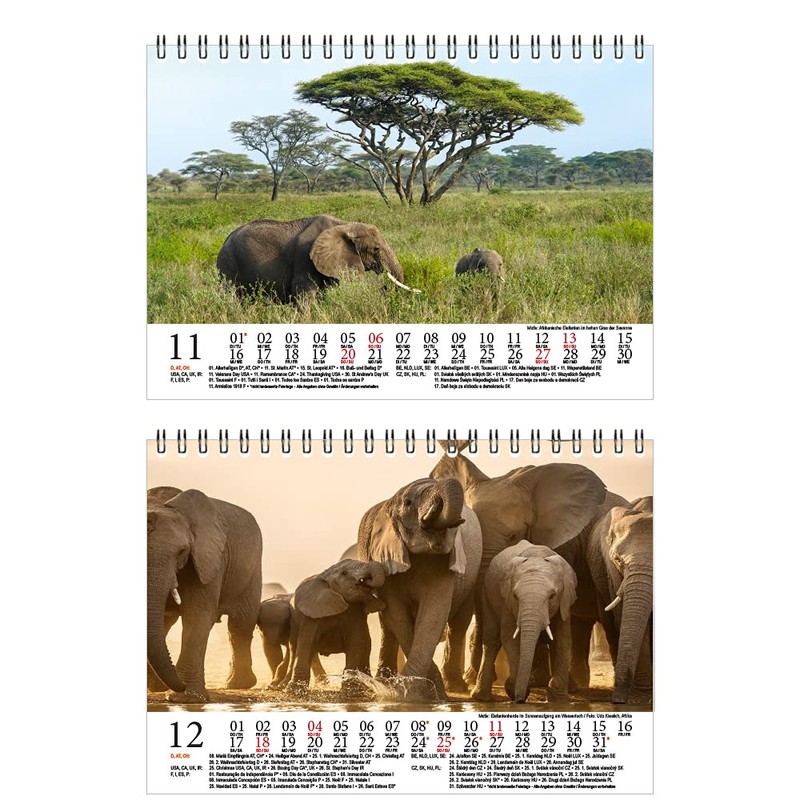 Elephant Magic DIN A5 Desk Calendar for 2022 Elephants Seelenzauber