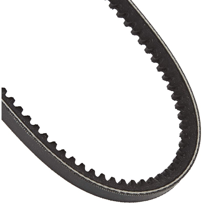 SKF VKMV 10AVX730 V belt