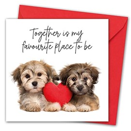 Valentines Card. Cute Dogs Design. Eco-friendly. 4pp 150x150mm size. Valentine's Card with Red Envelope. Verse inside. Printed and Packed in UK.