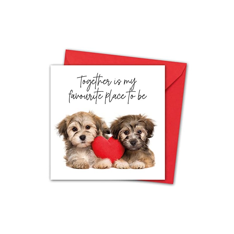 Valentines Card. Cute Dogs Design. Eco-friendly. 4pp 150x150mm size. Valentine's